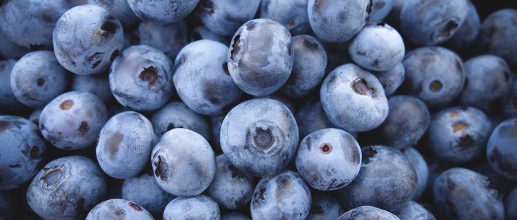 Los envíos de arándanos al mercado chino rompen récords