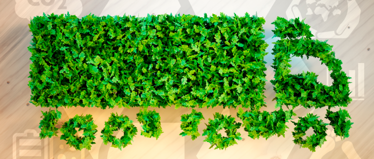 10 empresas que la realizan con éxito Logística Verde 10 empresas que la realizan con éxito Logística Verde