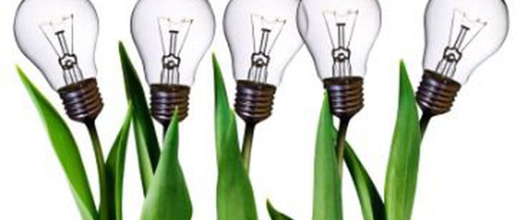 Estos son los retailers latinoamericanos más sustentables