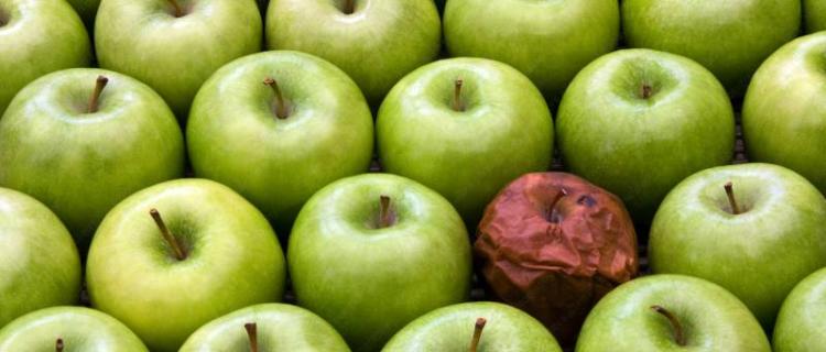 CÓMO UN MAL EMPLEADO PUEDE DAÑAR UN EQUIPO ENTERO CÓMO UN MAL EMPLEADO PUEDE DAÑAR UN EQUIPO ENTERO