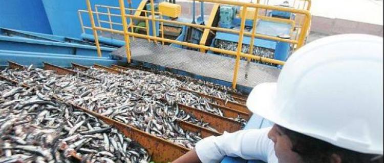 ¿Qué productos peruanos tienen potencial comercial en Panamá?