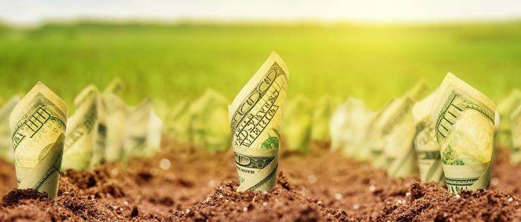 Las 5 fases del flujo de dinero en un negocio