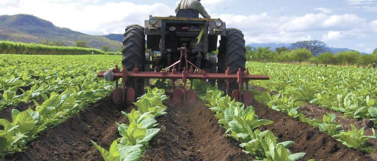 La logística es un elemento clave en la competitividad agroalimentaria