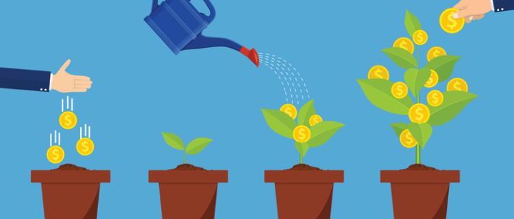 UNA STARTUP DEBE TOMAR DECISIONES COMO UNA VENTURE CAPITAL