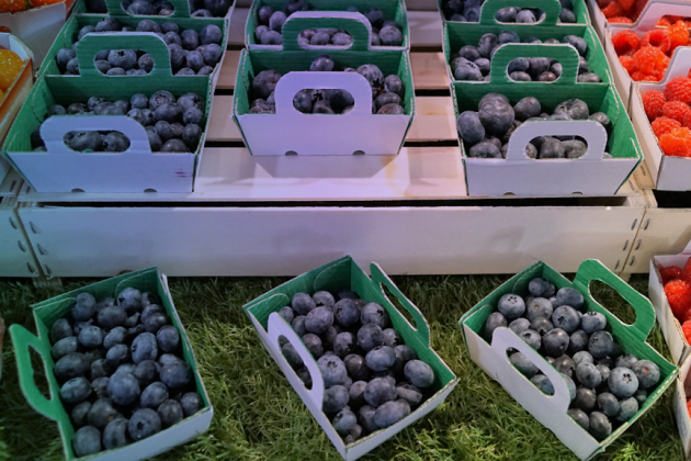 Exportación: Arándanos y paltas mantienen un lugar importante en el exterior
