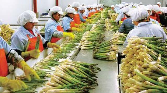 Agroexportación en azul: sector incrementó sus envíos el 2017 Agroexportación en azul: sector incrementó sus envíos el 2017