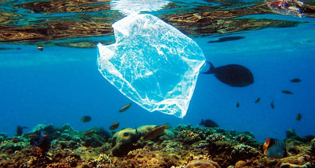 Mundo verde: España cobrará a clientes por bolsas de plástico Mundo verde: España cobrará a clientes por bolsas de plástico
