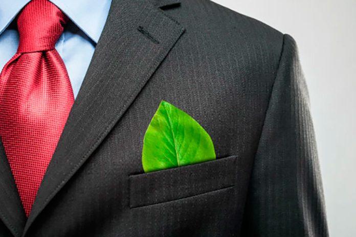 Cuatro pasos para hacer su negocio más ecológico Cuatro pasos para hacer su negocio más ecológico