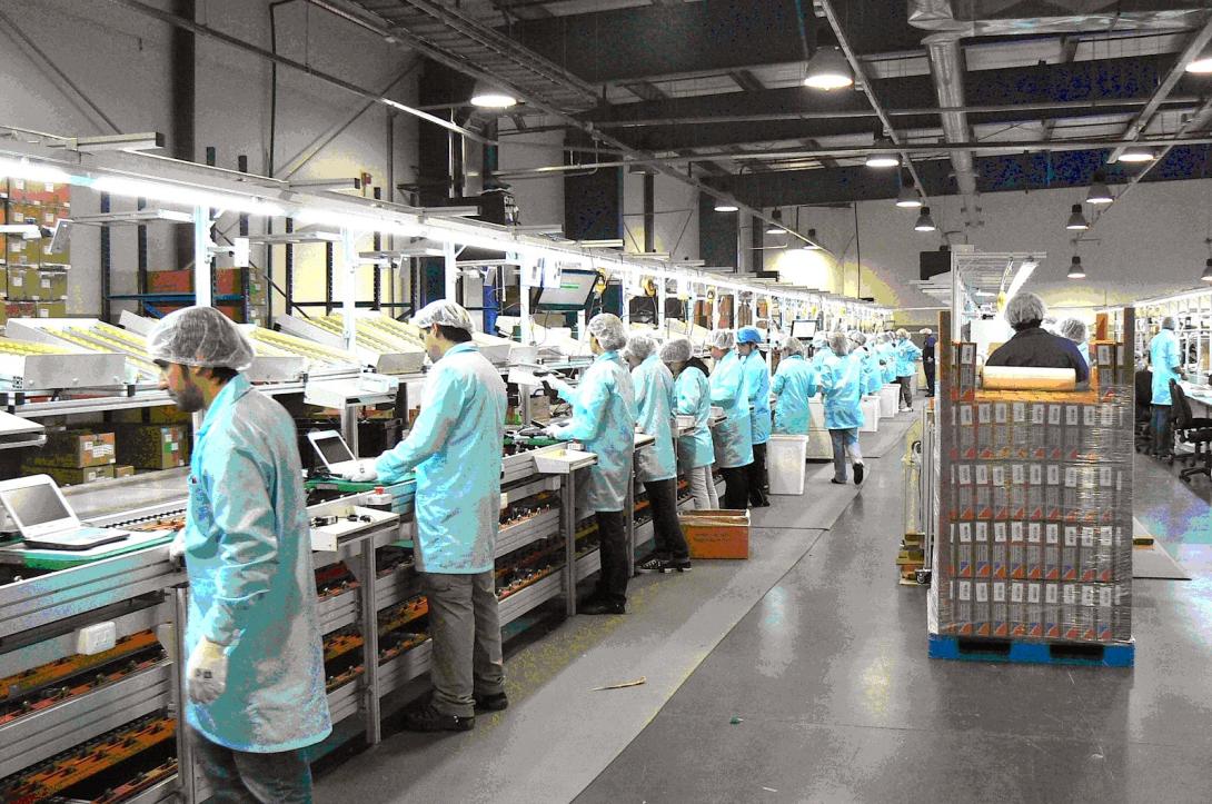 Ocho de cada 10 empresas industriales planea automatizar sus procesos Ocho de cada 10 empresas industriales planea automatizar sus procesos