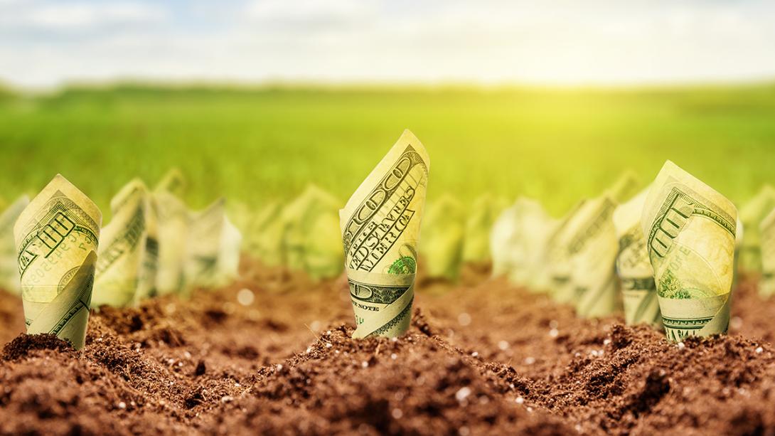 Las 5 fases del flujo de dinero en un negocio Las 5 fases del flujo de dinero en un negocio