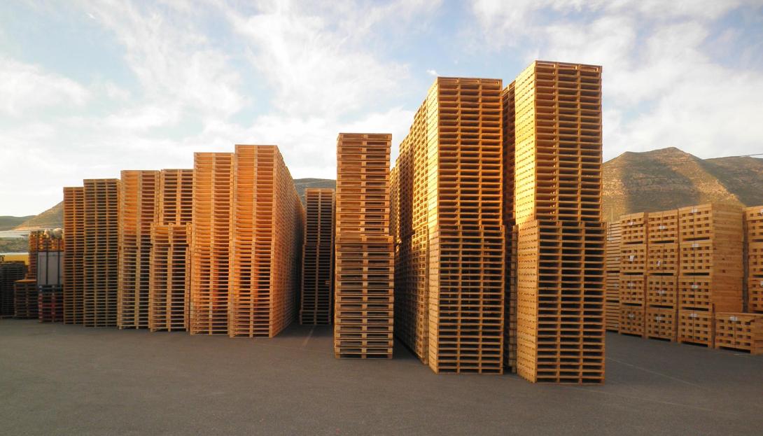 Mercado de pallets de madera crece en España Mercado de pallets de madera crece en España