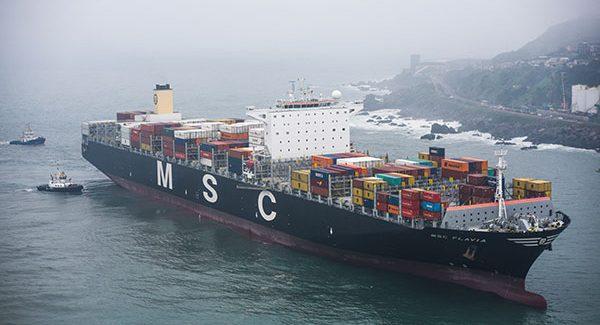 Una nueva plataforma digital se presenta como el nuevo “Amazon” del transporte marítimo Una nueva plataforma digital se presenta como el nuevo “Amazon” del transporte marítimo